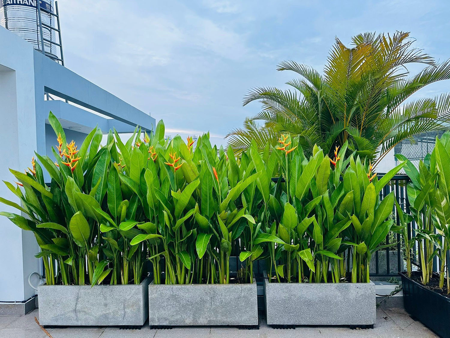 Mở bán 4 căn nhà 3 lầu tkế Singapore, full n.thất, mới 100%, hẻm ôtô Nguyễn Văn Lượng-gần City Land